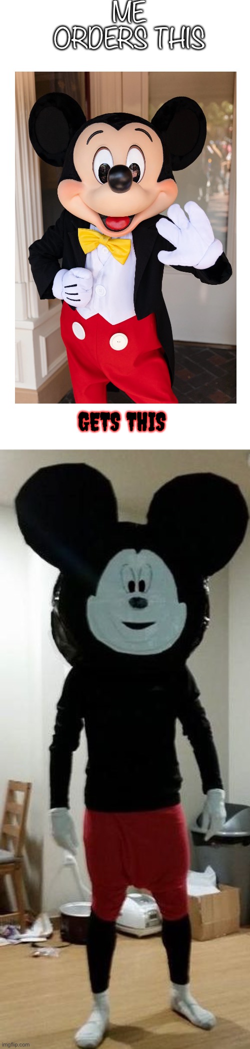I need a refund | ME ORDERS THIS; GETS THIS | image tagged in delet this mickey mouse | made w/ Imgflip meme maker