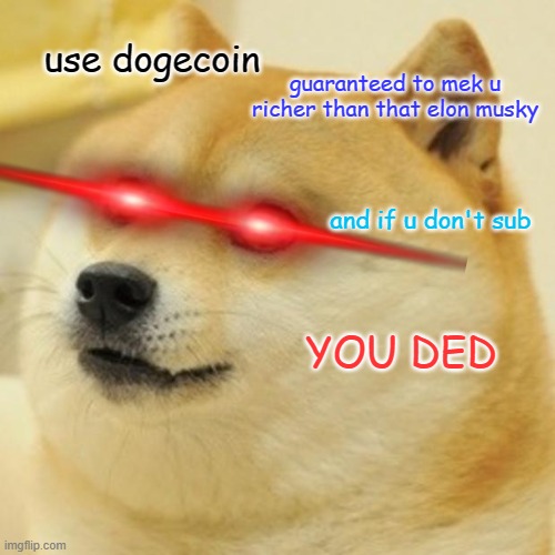 dogeconny | use dogecoin; guaranteed to mek u richer than that elon musky; and if u don't sub; YOU DED | image tagged in memes,doge | made w/ Imgflip meme maker
