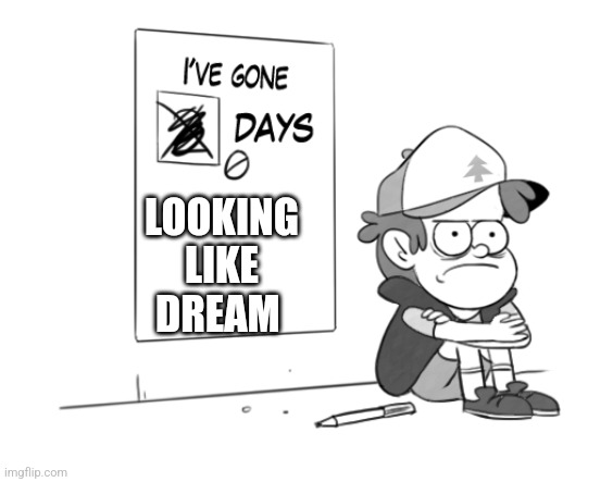 Dipper has gone 0 days without x | LOOKING LIKE DREAM | image tagged in dipper has gone 0 days without x | made w/ Imgflip meme maker