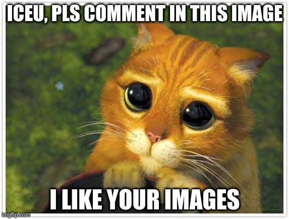 this is only for iceu | ICEU, PLS COMMENT IN THIS IMAGE; I LIKE YOUR IMAGES | image tagged in memes,shrek cat | made w/ Imgflip meme maker
