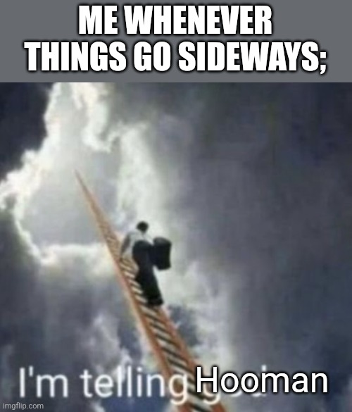 Im telling god | ME WHENEVER THINGS GO SIDEWAYS;; Hooman | image tagged in im telling god | made w/ Imgflip meme maker