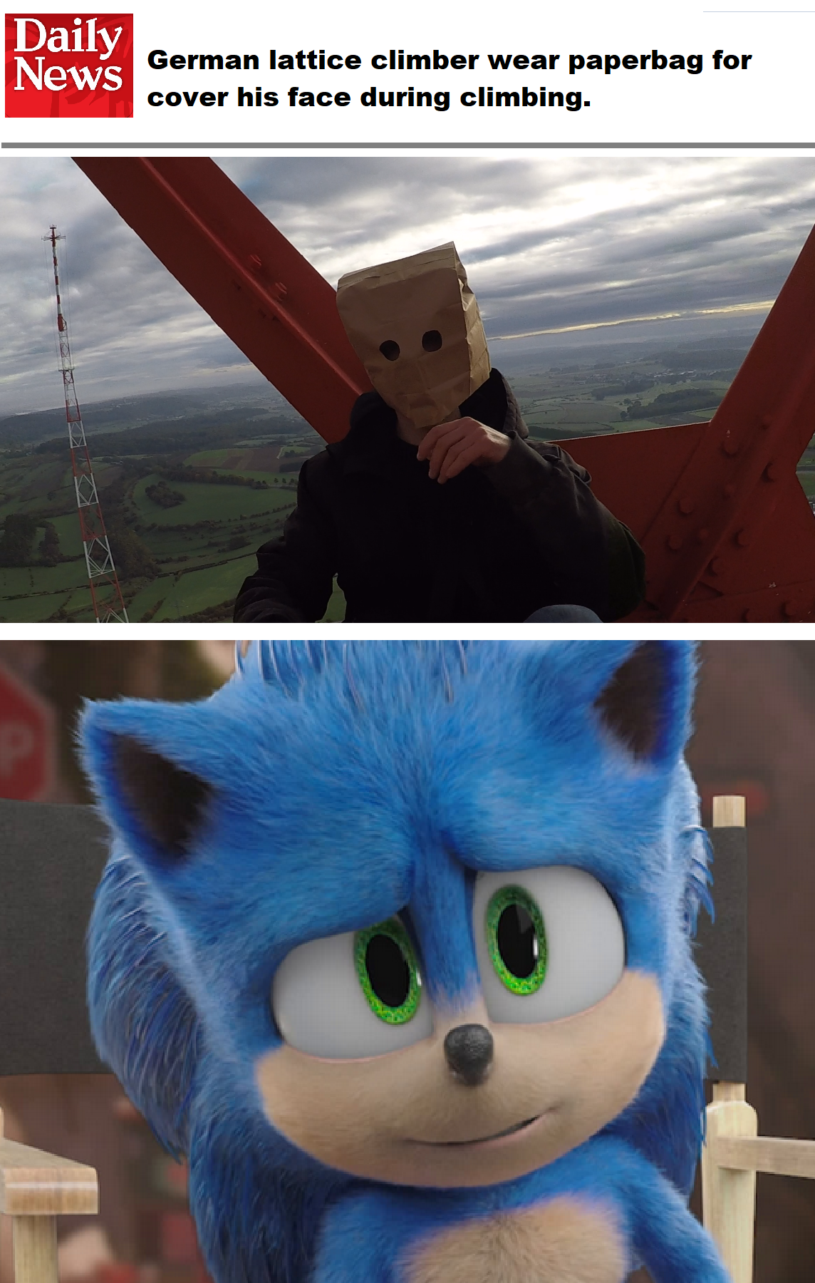 Sonic Blank Meme Template