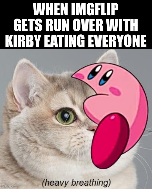 WHEN IMGFLIP GETS RUN OVER WITH KIRBY EATING EVERYONE | image tagged in memes,heavy breathing cat | made w/ Imgflip meme maker