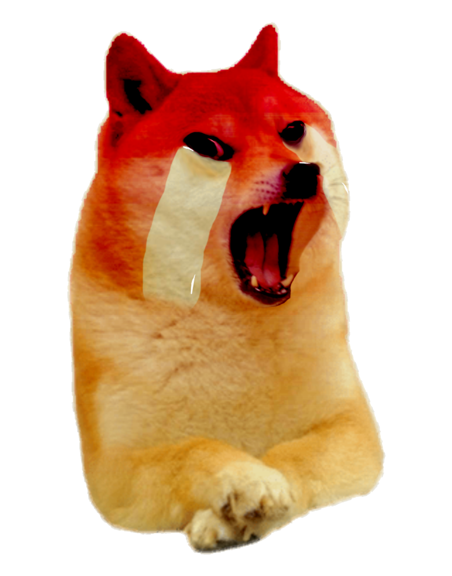 High Quality Crying doge Blank Meme Template