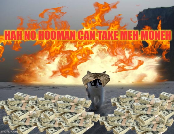 Took me a entire day -^- | HAH NO HOOMAN CAN TAKE MEH MONEH | image tagged in cat explosion | made w/ Imgflip meme maker