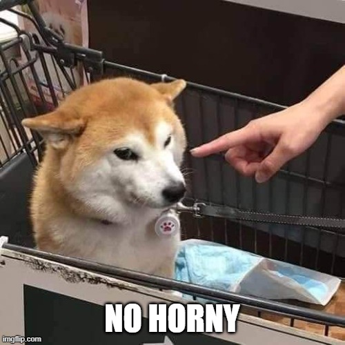 No horny | NO HORNY | image tagged in no horny | made w/ Imgflip meme maker