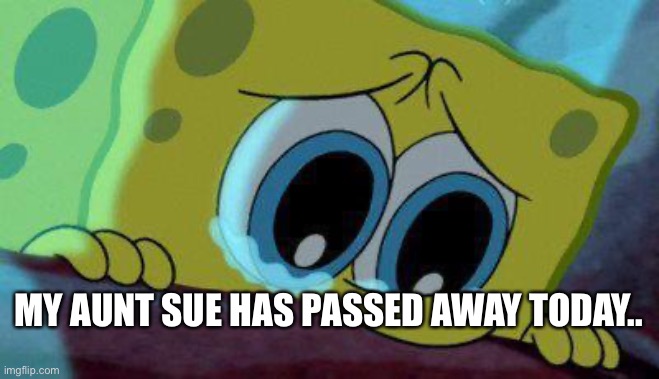 crying spongebob | MY AUNT SUE HAS PASSED AWAY TODAY.. | image tagged in crying spongebob | made w/ Imgflip meme maker