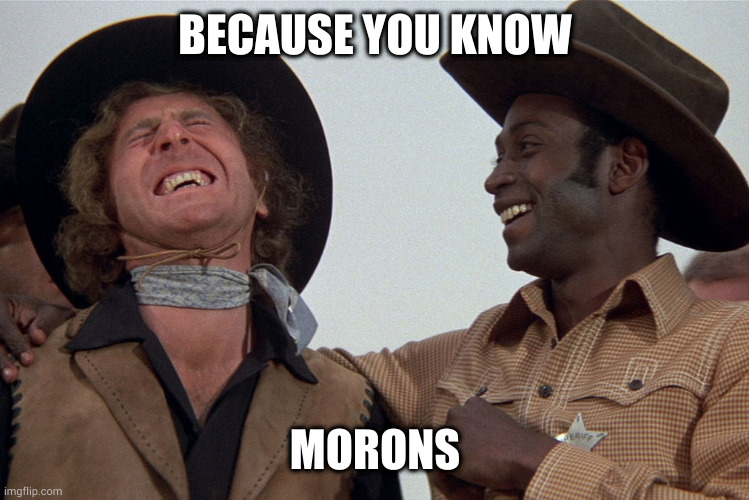 blazing saddles | BECAUSE YOU KNOW MORONS | image tagged in blazing saddles | made w/ Imgflip meme maker