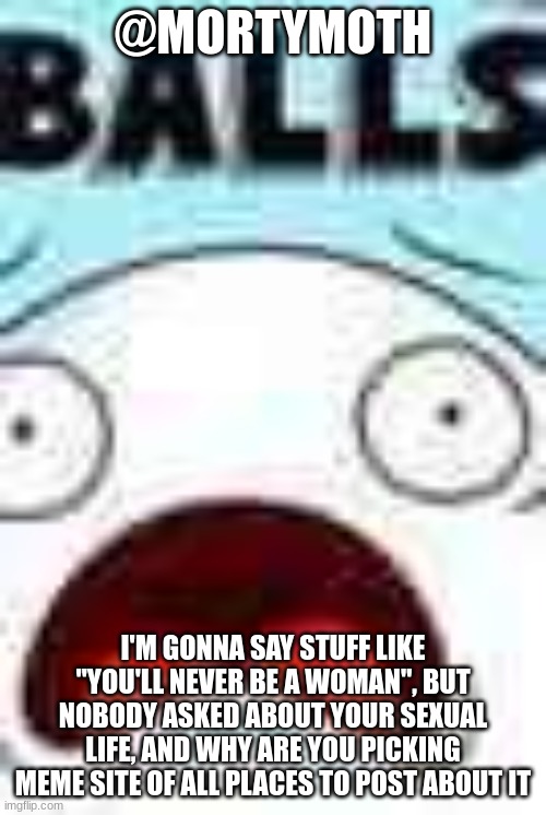 Balls | @MORTYMOTH; I'M GONNA SAY STUFF LIKE "YOU'LL NEVER BE A WOMAN", BUT NOBODY ASKED ABOUT YOUR SEXUAL LIFE, AND WHY ARE YOU PICKING MEME SITE OF ALL PLACES TO POST ABOUT IT | image tagged in balls | made w/ Imgflip meme maker