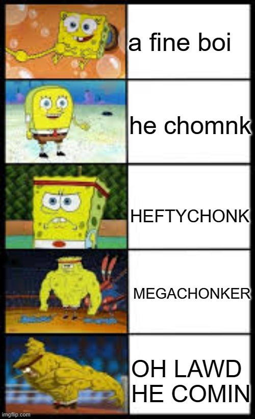 the chonk chart | a fine boi; he chomnk; HEFTYCHONK; MEGACHONKER; OH LAWD HE COMIN | image tagged in spongbob weak to buff,chonk chart | made w/ Imgflip meme maker