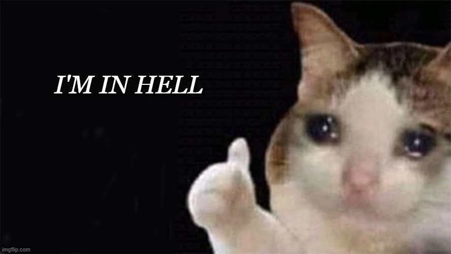 im in hell | I'M IN HELL | image tagged in sad,approved crying cat,depressed cat,depressed,sad thumbs up cat | made w/ Imgflip meme maker