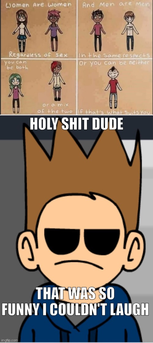 image tagged in holy shit dude that was so funny i couldn't laugh | made w/ Imgflip meme maker