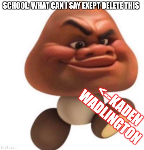  SCHOOL: WHAT CAN I SAY EXEPT DELETE THIS; <--KADEN WADLINGTON | image tagged in maui goomba | made w/ Imgflip meme maker