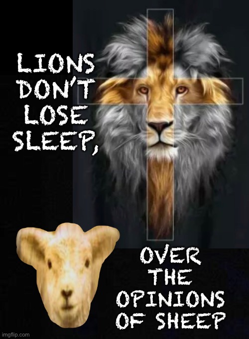 Fear Man? | LIONS
DON’T
LOSE
SLEEP, OVER
THE
OPINIONS
OF SHEEP | image tagged in memes,worldview,who or what do you worship,if u fear the opinions of man,u r not one of us,get right with god | made w/ Imgflip meme maker