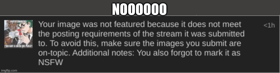 could do it yourself but whatever | NOOOOOO | made w/ Imgflip meme maker
