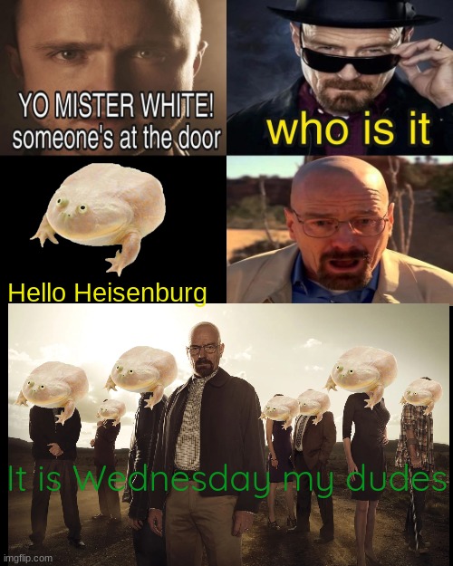 Hello Heisenburg | Hello Heisenburg; It is Wednesday my dudes | image tagged in hello heisenburg,it is wednesday my dudes | made w/ Imgflip meme maker