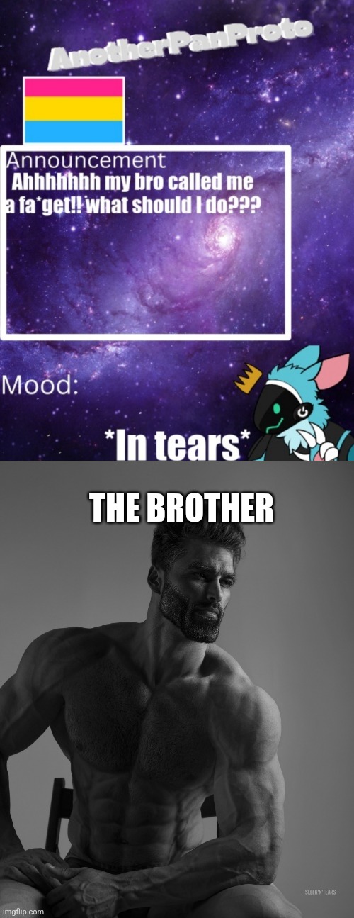 THE BROTHER | image tagged in giga chad | made w/ Imgflip meme maker