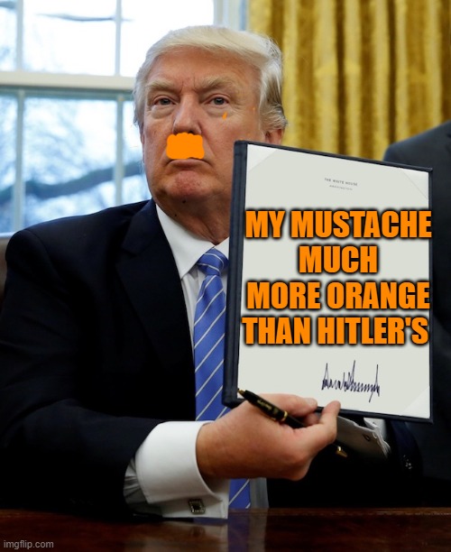 Donald Trump blank executive order | MY MUSTACHE MUCH MORE ORANGE THAN HITLER'S | image tagged in donald trump blank executive order | made w/ Imgflip meme maker