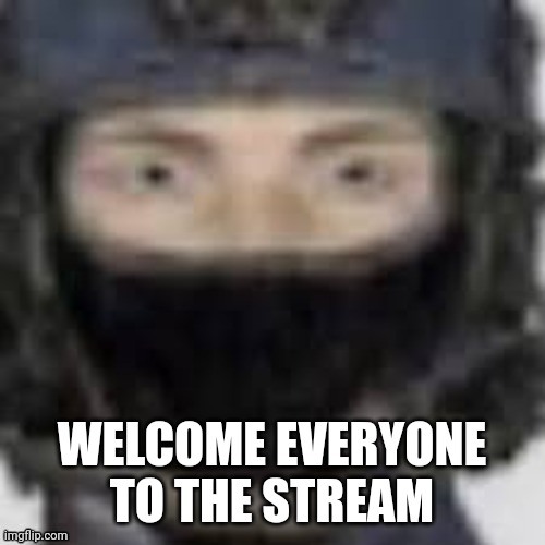 Hello | WELCOME EVERYONE TO THE STREAM | image tagged in greetings | made w/ Imgflip meme maker