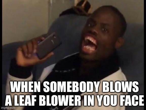 deez nuts | WHEN SOMEBODY BLOWS A LEAF BLOWER IN YOU FACE | image tagged in deez nuts | made w/ Imgflip meme maker