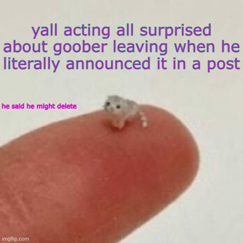drm's el wiwi template | yall acting all surprised about goober leaving when he literally announced it in a post; he said he might delete | image tagged in drm's el wiwi template | made w/ Imgflip meme maker