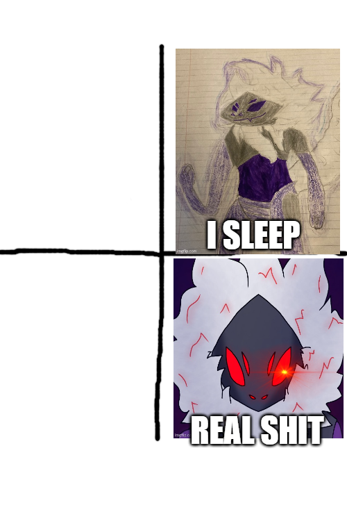 I sleep, to REAL SHIT Blank Meme Template