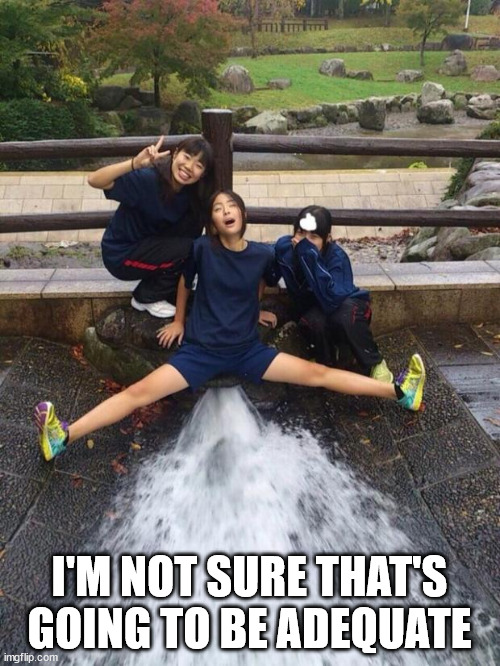 Excited Girls | I'M NOT SURE THAT'S GOING TO BE ADEQUATE | image tagged in excited girls | made w/ Imgflip meme maker