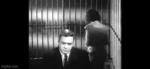 Francine York.  Perry Mason. | image tagged in gifs,francine york,perry mason,jail,courtroom | made w/ Imgflip images-to-gif maker