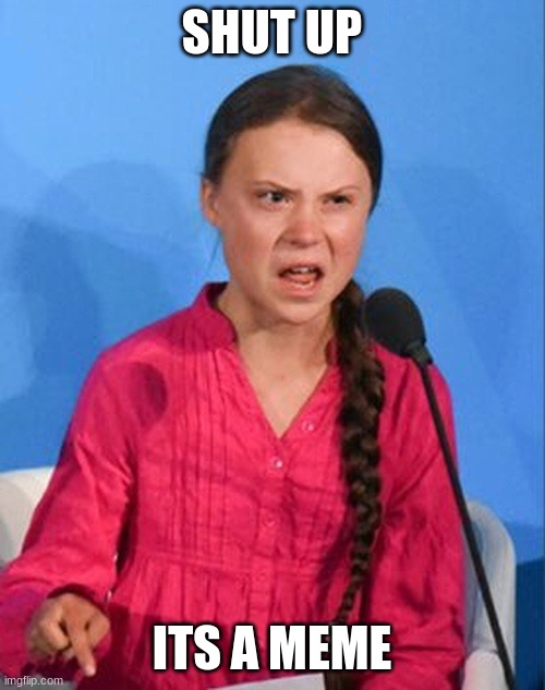 Greta Thunberg how dare you | SHUT UP ITS A MEME | image tagged in greta thunberg how dare you | made w/ Imgflip meme maker