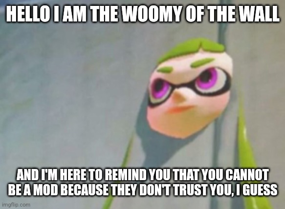 Woomy in the wall glitch splatoon | HELLO I AM THE WOOMY OF THE WALL AND I'M HERE TO REMIND YOU THAT YOU CANNOT BE A MOD BECAUSE THEY DON'T TRUST YOU, I GUESS | image tagged in woomy in the wall glitch splatoon | made w/ Imgflip meme maker
