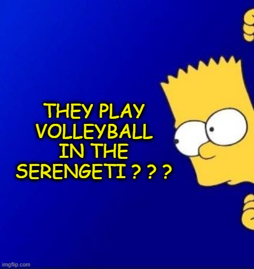 THEY PLAY VOLLEYBALL IN THE SERENGETI ? ? ? | made w/ Imgflip meme maker