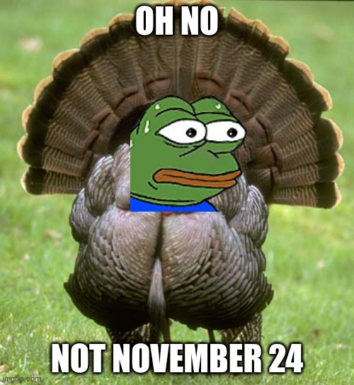 GOODBYE TURKEY'S | OH NO; NOT NOVEMBER 24 | image tagged in memes,turkey | made w/ Imgflip meme maker