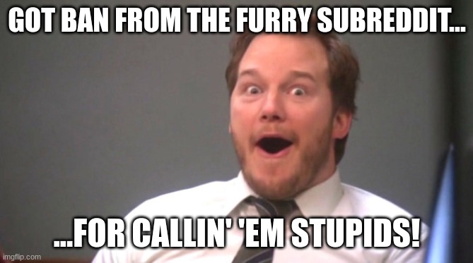 Got ban from a subreddit! | GOT BAN FROM THE FURRY SUBREDDIT... ...FOR CALLIN' 'EM STUPIDS! | image tagged in chris pratt happy | made w/ Imgflip meme maker