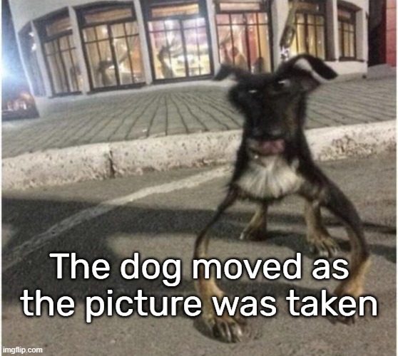 The dog moved as the picture was taken | made w/ Imgflip meme maker