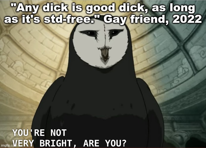You're not very bright, are you? | "Any dick is good dick, as long as it's std-free." Gay friend, 2022 | image tagged in you're not very bright are you | made w/ Imgflip meme maker