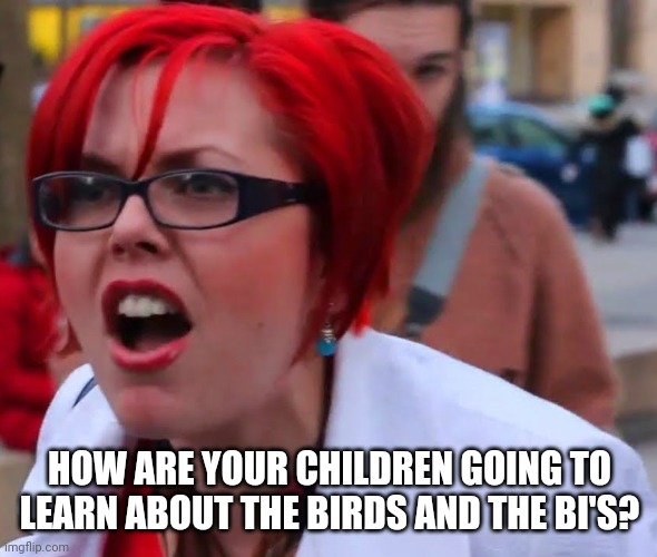 HOW ARE YOUR CHILDREN GOING TO LEARN ABOUT THE BIRDS AND THE BI'S? | made w/ Imgflip meme maker