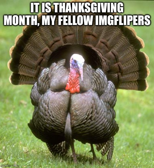 Turkey | IT IS THANKSGIVING MONTH, MY FELLOW IMGFLIPERS | image tagged in memes,turkey | made w/ Imgflip meme maker