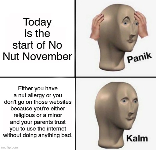 I'm a minor so I think I should be fine. | Today is the start of No Nut November; Either you have a nut allergy or you don't go on those websites because you're either religious or a minor and your parents trust you to use the internet without doing anything bad. | image tagged in panik kalm,nnn,no nut november,meme man,memes,meme | made w/ Imgflip meme maker