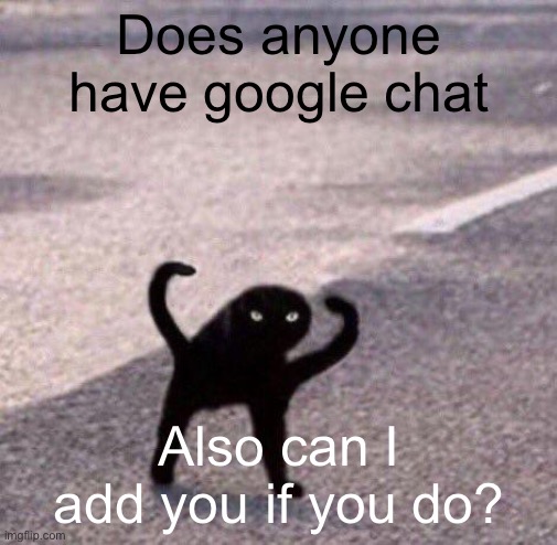 Cursed cat temp | Does anyone have google chat; Also can I add you if you do? | image tagged in cursed cat temp | made w/ Imgflip meme maker