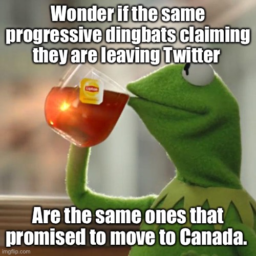 Free speech scaredy-cats |  Wonder if the same progressive dingbats claiming they are leaving Twitter; Are the same ones that promised to move to Canada. | image tagged in memes,but that's none of my business,kermit the frog,politics lol | made w/ Imgflip meme maker