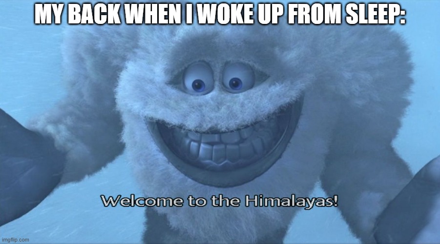 Cold | MY BACK WHEN I WOKE UP FROM SLEEP: | image tagged in welcome to the himalayas | made w/ Imgflip meme maker