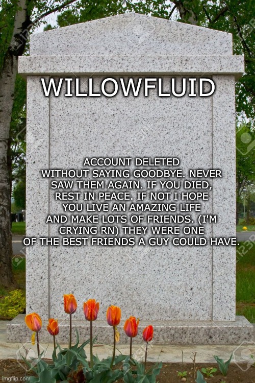 They are gone and I have to accept that. | ACCOUNT DELETED WITHOUT SAYING GOODBYE. NEVER SAW THEM AGAIN. IF YOU DIED, REST IN PEACE. IF NOT I HOPE YOU LIVE AN AMAZING LIFE AND MAKE LOTS OF FRIENDS. (I'M CRYING RN) THEY WERE ONE OF THE BEST FRIENDS A GUY COULD HAVE. WILLOWFLUID | image tagged in blank gravestone | made w/ Imgflip meme maker