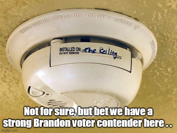 Not for sure, but bet we have a strong Brandon voter contender here . . | made w/ Imgflip meme maker
