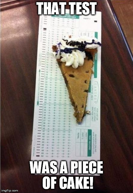 THAT TEST WAS A PIECE OF CAKE! | image tagged in piece of cake test | made w/ Imgflip meme maker