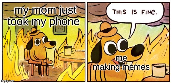 You can't take away memes | my mom just took my phone; me making memes | image tagged in memes,this is fine | made w/ Imgflip meme maker