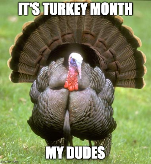 Turkey Month, the month preparing for Thanksgiving in the US | IT'S TURKEY MONTH; MY DUDES | image tagged in memes,turkey,month,thanksgiving,usa | made w/ Imgflip meme maker