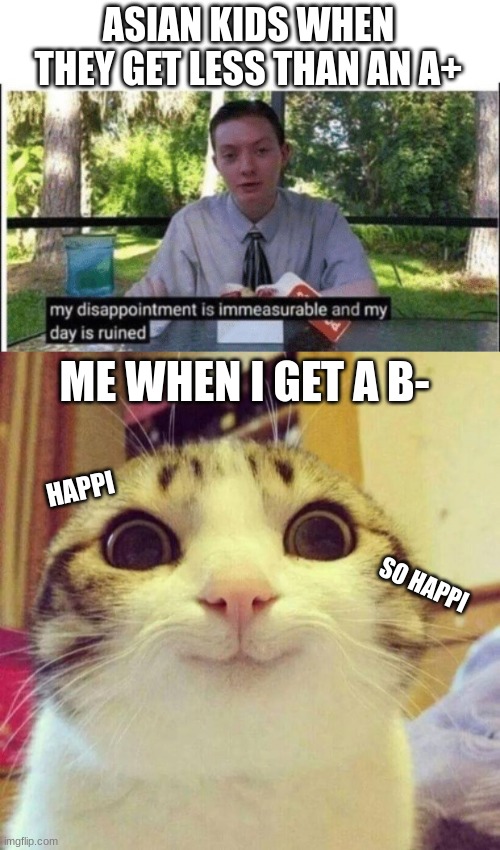 I actually get realy good grades IRL | ASIAN KIDS WHEN THEY GET LESS THAN AN A+; ME WHEN I GET A B-; HAPPI; SO HAPPI | image tagged in my dissapointment is immeasurable and my day is ruined,memes,smiling cat,stupid,bad grades,asian | made w/ Imgflip meme maker