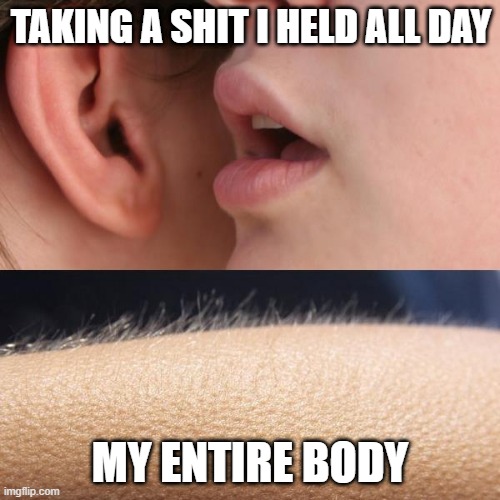 me after school | TAKING A SHIT I HELD ALL DAY; MY ENTIRE BODY | image tagged in whisper and goosebumps | made w/ Imgflip meme maker