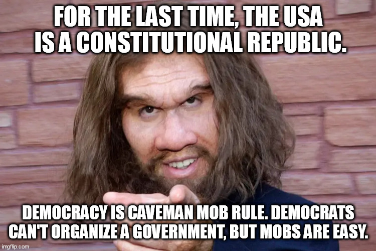 So Simple | FOR THE LAST TIME, THE USA
 IS A CONSTITUTIONAL REPUBLIC. DEMOCRACY IS CAVEMAN MOB RULE. DEMOCRATS CAN'T ORGANIZE A GOVERNMENT, BUT MOBS ARE EASY. | image tagged in caveman,democracy | made w/ Imgflip meme maker