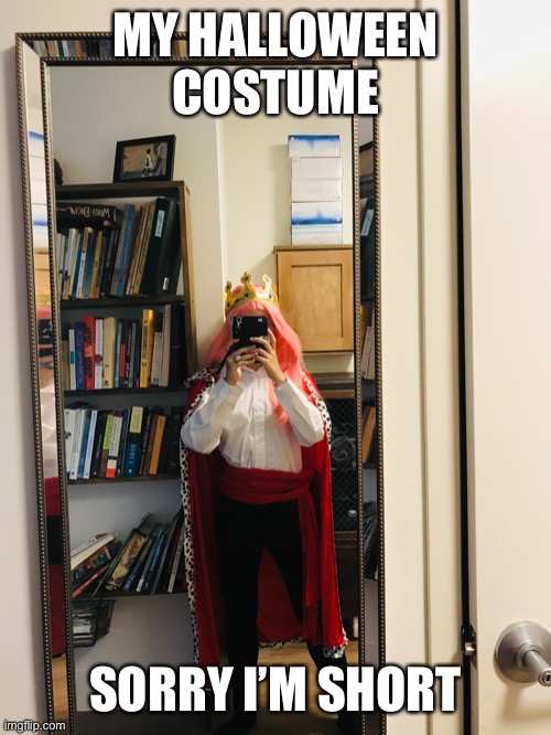 I was techno for Halloween | MY HALLOWEEN COSTUME; SORRY I’M SHORT | image tagged in technoblade,halloween,respect | made w/ Imgflip meme maker